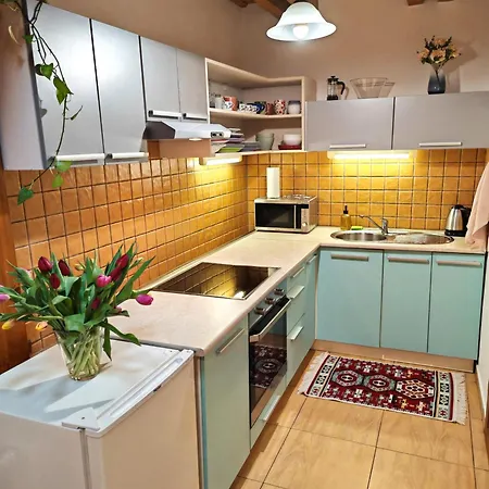 Frida Old Town With Private Parking Daire